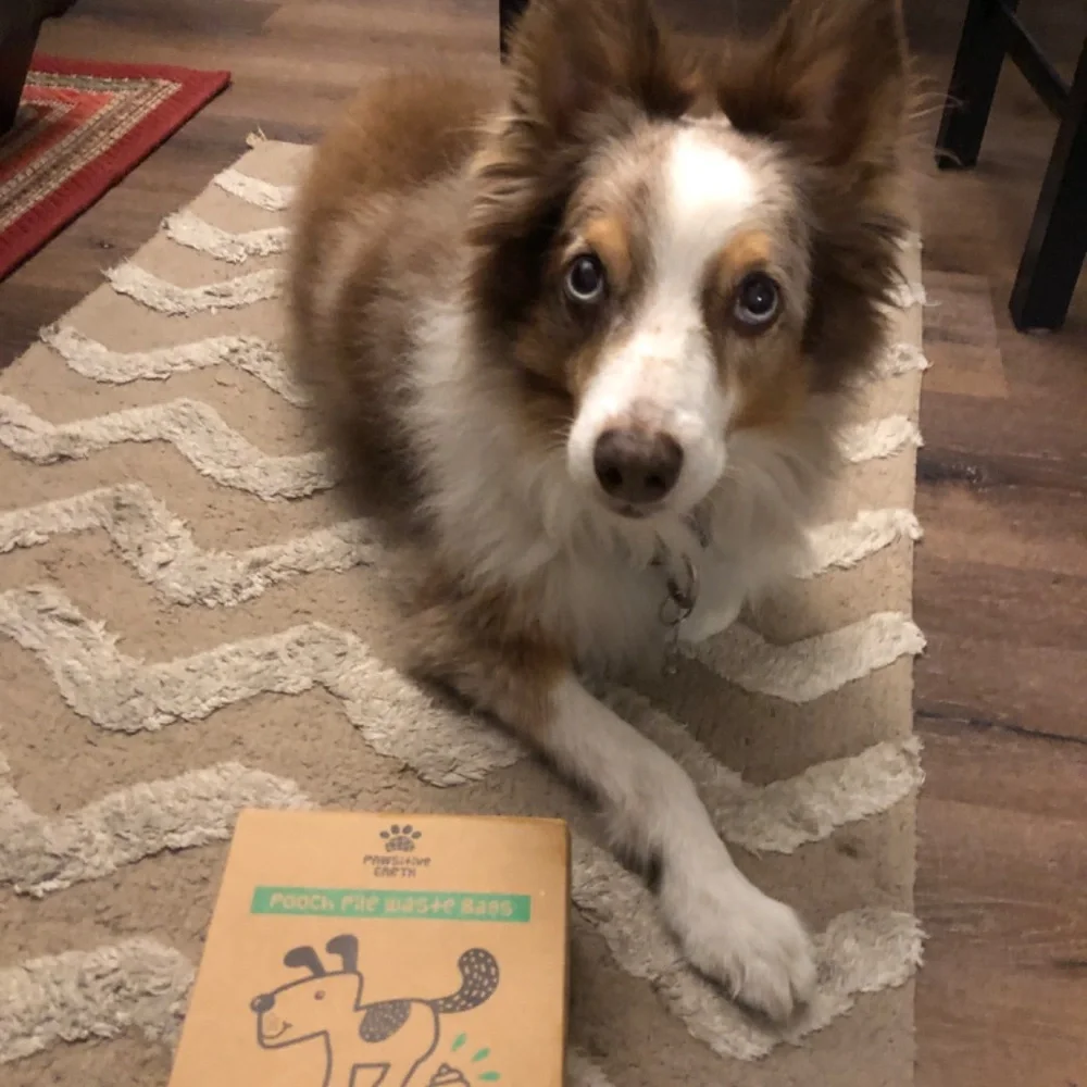 Dog Poop Bags, Dog Waste bag, Earth Friendly Bags,